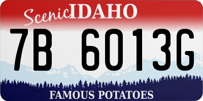 ID license plate 7B6013G