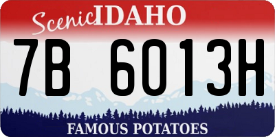 ID license plate 7B6013H
