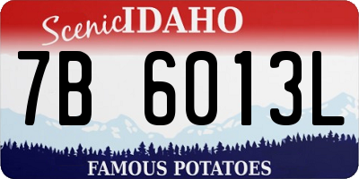 ID license plate 7B6013L