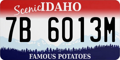 ID license plate 7B6013M