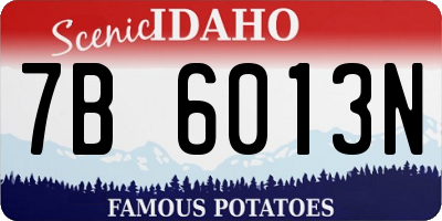 ID license plate 7B6013N