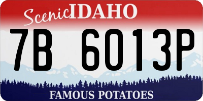ID license plate 7B6013P