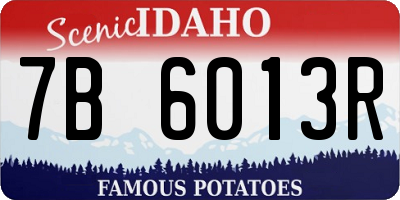 ID license plate 7B6013R