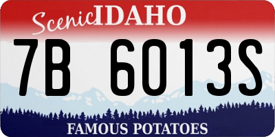 ID license plate 7B6013S