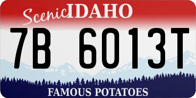 ID license plate 7B6013T