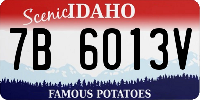 ID license plate 7B6013V