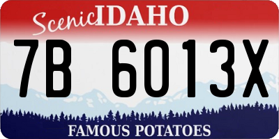 ID license plate 7B6013X