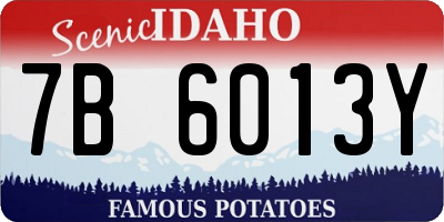 ID license plate 7B6013Y
