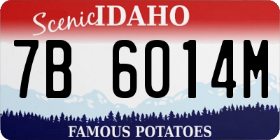 ID license plate 7B6014M