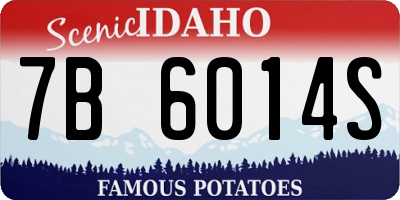 ID license plate 7B6014S