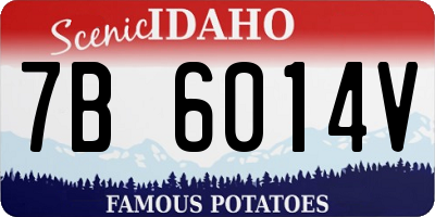 ID license plate 7B6014V