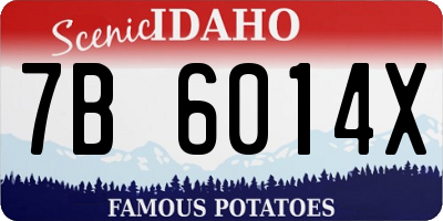 ID license plate 7B6014X