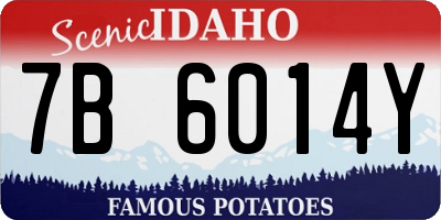 ID license plate 7B6014Y