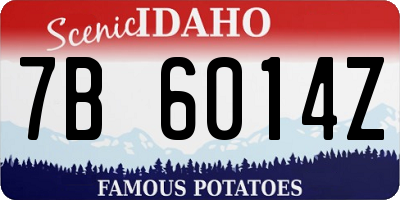 ID license plate 7B6014Z