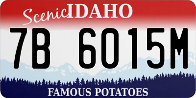 ID license plate 7B6015M