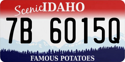 ID license plate 7B6015Q