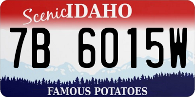 ID license plate 7B6015W