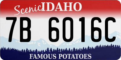 ID license plate 7B6016C