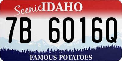 ID license plate 7B6016Q