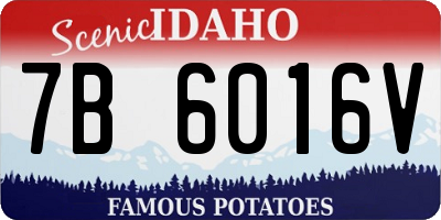 ID license plate 7B6016V