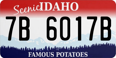 ID license plate 7B6017B