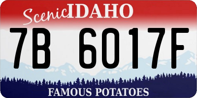 ID license plate 7B6017F