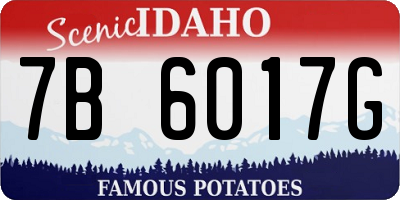 ID license plate 7B6017G