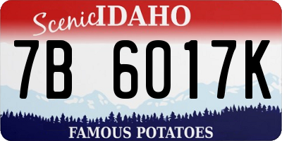 ID license plate 7B6017K