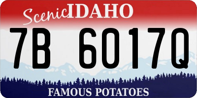 ID license plate 7B6017Q
