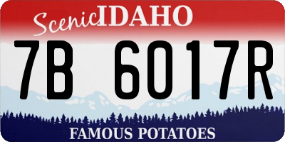 ID license plate 7B6017R