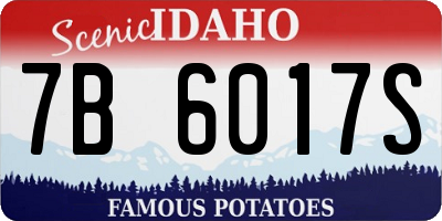 ID license plate 7B6017S