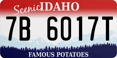 ID license plate 7B6017T