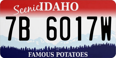 ID license plate 7B6017W