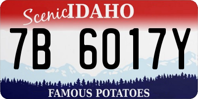 ID license plate 7B6017Y