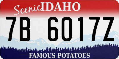 ID license plate 7B6017Z