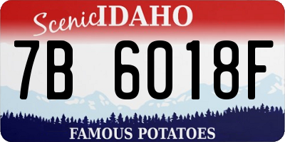 ID license plate 7B6018F
