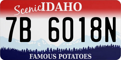 ID license plate 7B6018N