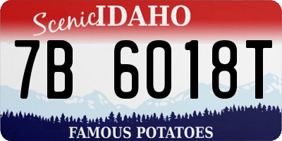 ID license plate 7B6018T