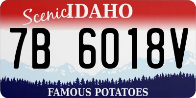 ID license plate 7B6018V