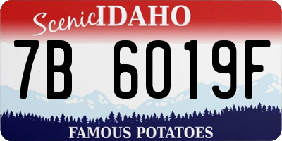 ID license plate 7B6019F