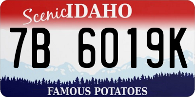 ID license plate 7B6019K