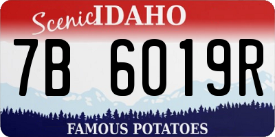 ID license plate 7B6019R