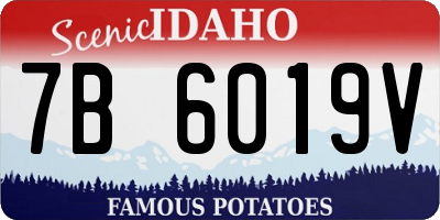 ID license plate 7B6019V