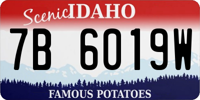 ID license plate 7B6019W
