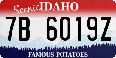 ID license plate 7B6019Z