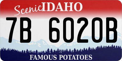 ID license plate 7B6020B
