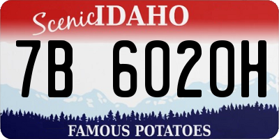 ID license plate 7B6020H
