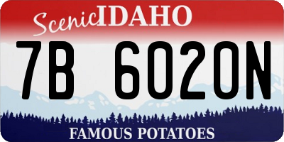 ID license plate 7B6020N