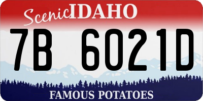 ID license plate 7B6021D