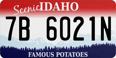 ID license plate 7B6021N